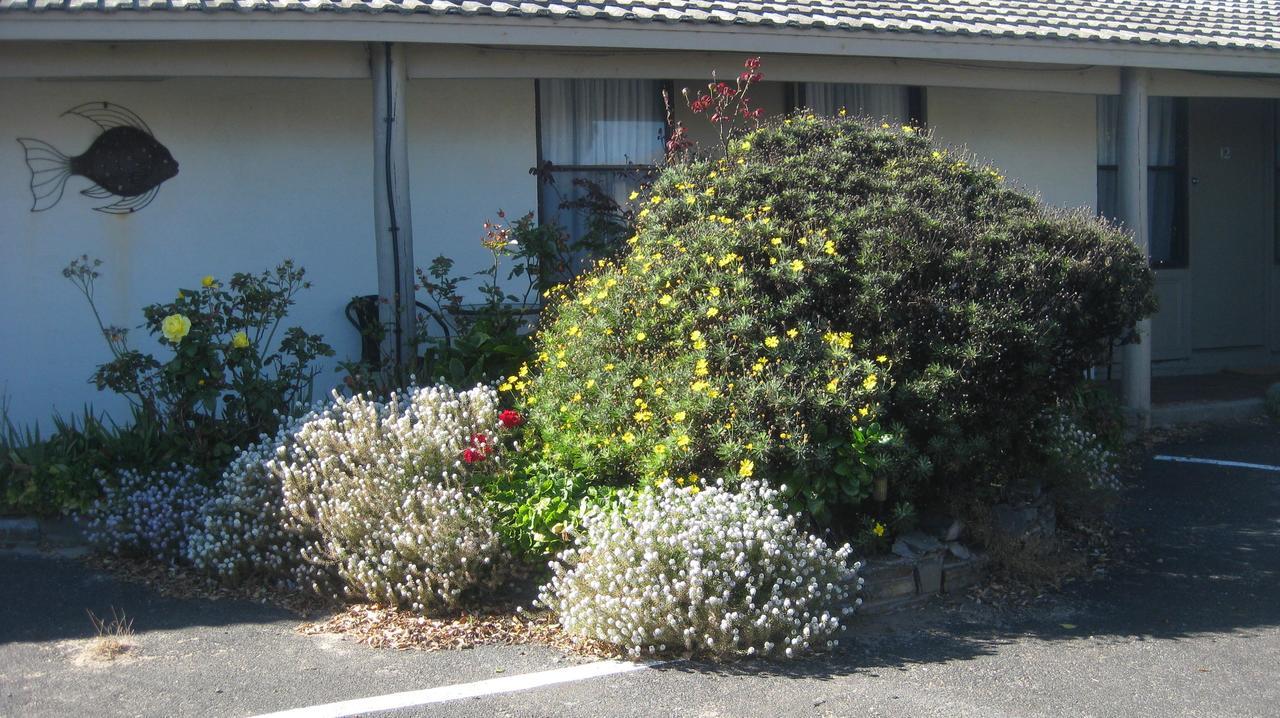 Robe Haven Motel ภายนอก รูปภาพ